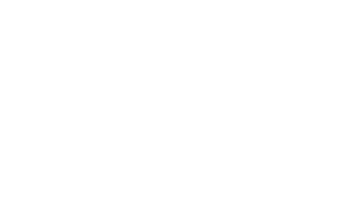 Tenzor Soft company